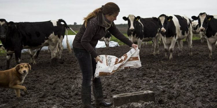 Hoy se celebra el Día Internacional de la Mujer Rural