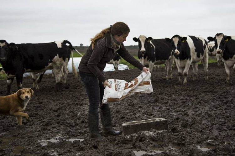 Hoy se celebra el Día Internacional de la Mujer Rural