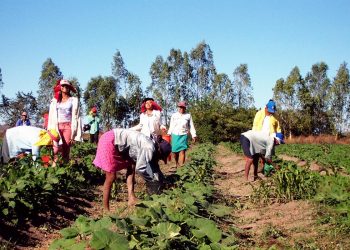 La exclusión digital, una barrera que golpea el trabajo de las mujeres rurales
