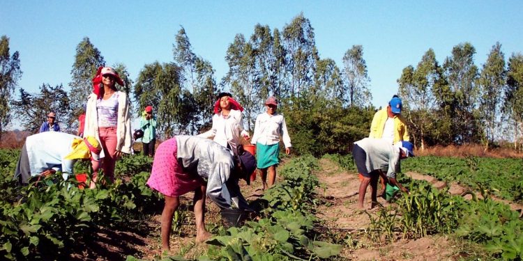 La exclusión digital, una barrera que golpea el trabajo de las mujeres rurales