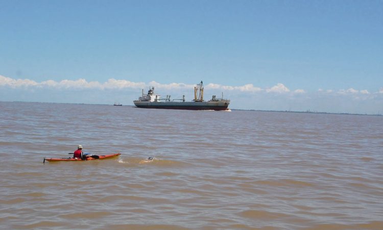 Informe desaconseja a Argentina la apertura del canal Magdalena