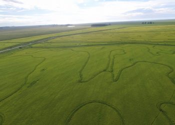 Un aporte al Uruguay productivo de 2050