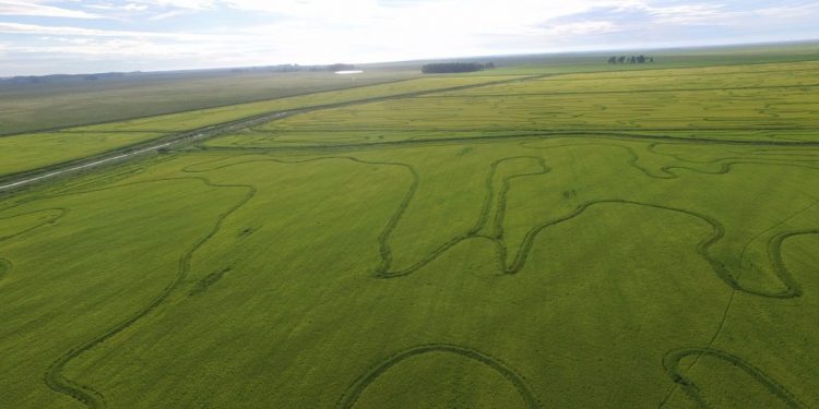 Un aporte al Uruguay productivo de 2050