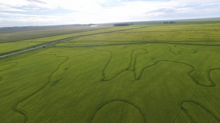Un aporte al Uruguay productivo de 2050