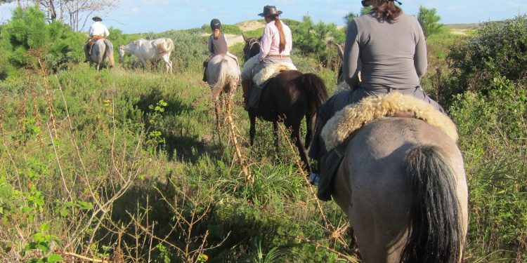 SUTUR: 25 años apoyando al turismo rural y natural