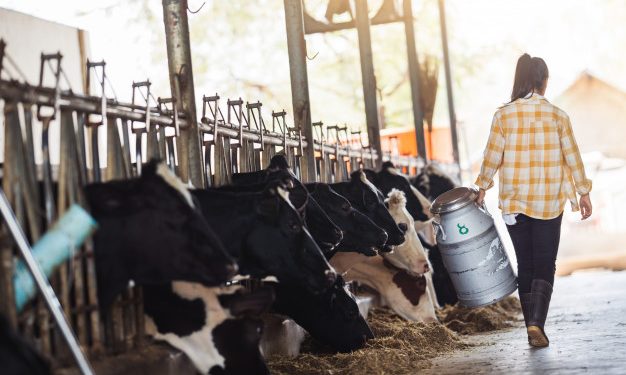 La mujer, enclave fundamental en el medio rural