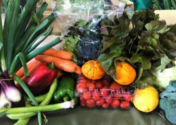 Ministro Bártol saludó a los “héroes de la alimentación”