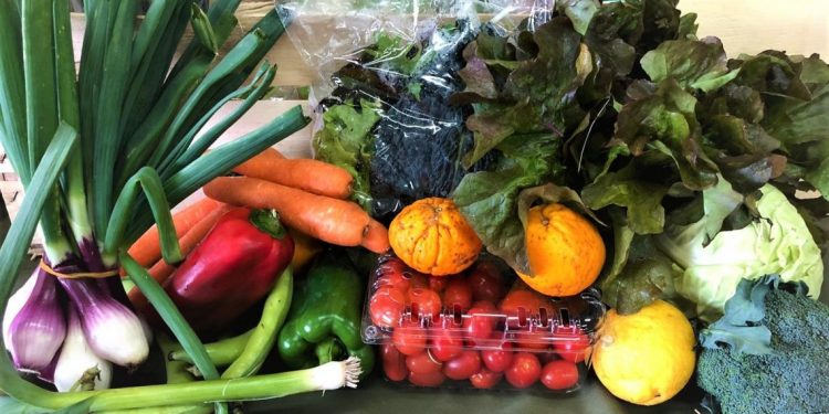 Ministro Bártol saludó a los “héroes de la alimentación”