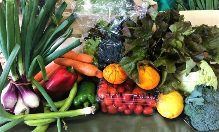 Ministro Bártol saludó a los “héroes de la alimentación”