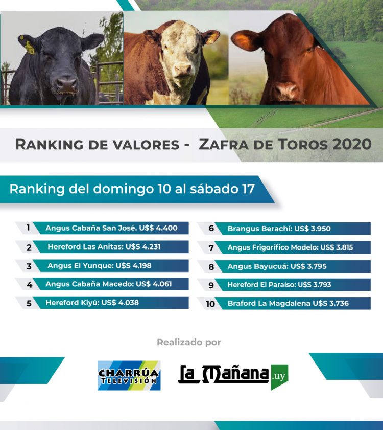 Se “estacionaron” los valores de la Zafra de Toros: podría revertirse con la llegada de lluvias