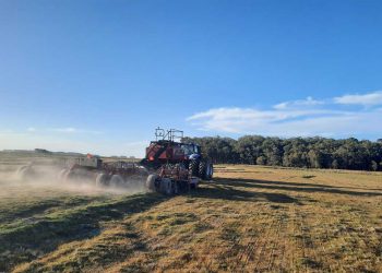 Con el mercado alentador, el arroz enfrenta la falta de lluvias