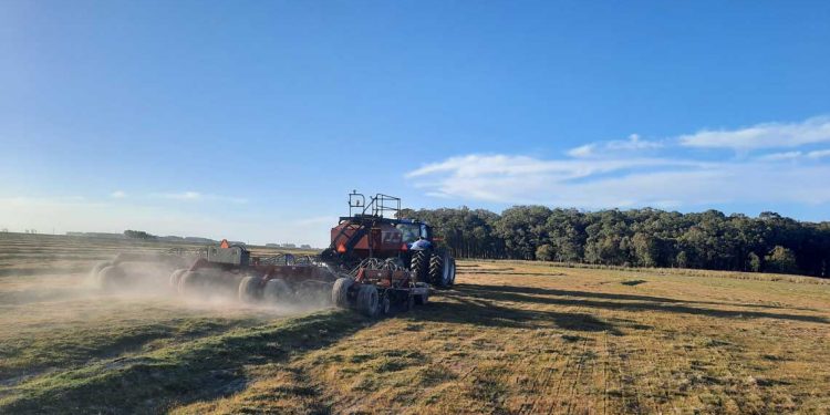 Con el mercado alentador, el arroz enfrenta la falta de lluvias