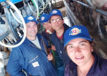 Inversiones extranjeras amenazan los tambos familiares en Colonia Suiza