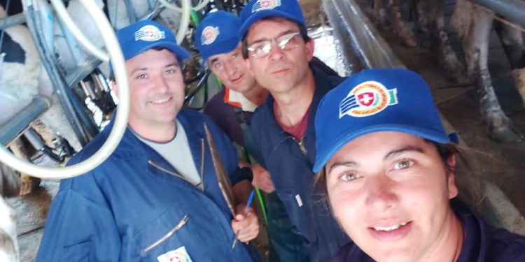 Inversiones extranjeras amenazan los tambos familiares en Colonia Suiza