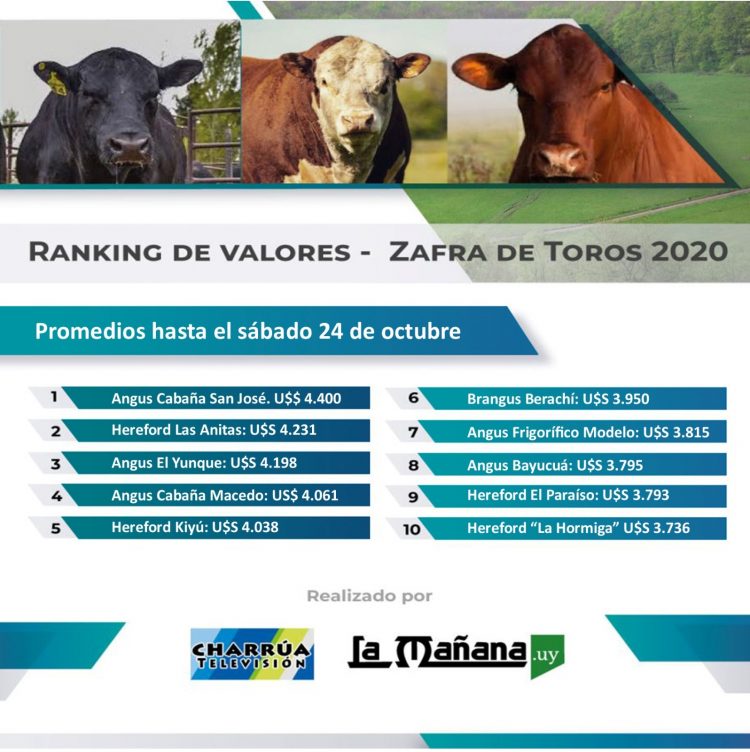 Top 10, sin mayores variantes, en una zafra de toros considerada en general; “buena”