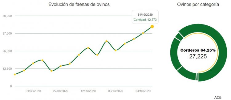 La semana pasada se faenaron 46.603 vacunos y 42.373 ovinos