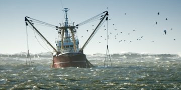 Dos problemas a resolver para que la industria pesquera uruguaya sea más sustentable