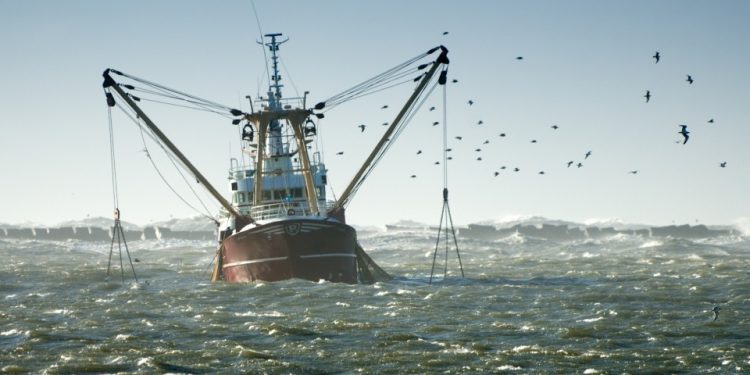 Dos problemas a resolver para que la industria pesquera uruguaya sea más sustentable