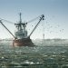 Dos problemas a resolver para que la industria pesquera uruguaya sea más sustentable