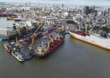 Expertos advierten que dragado del puerto sería una especie de “subsidio encubierto” para UPM