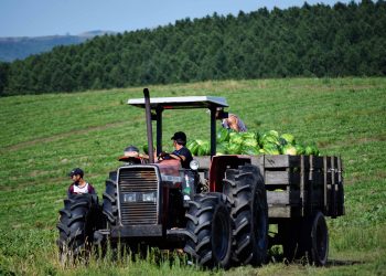 Pequeños productores agrícolas buscan mejores condiciones para seguir