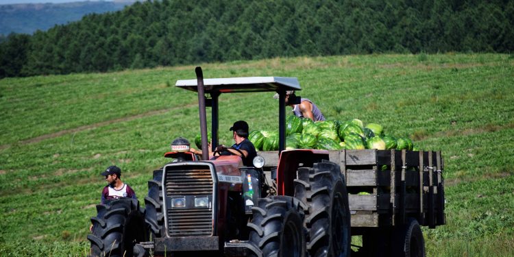 Pequeños productores agrícolas buscan mejores condiciones para seguir