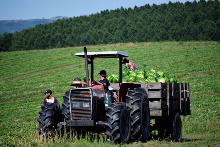 Pequeños productores agrícolas buscan mejores condiciones para seguir