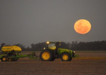 Ante la cosecha de los cultivos de invierno exhortan a cumplir con los protocolos