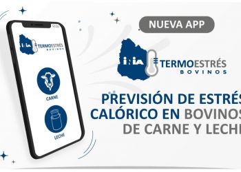 INIA lanzó INIA Termoestrés