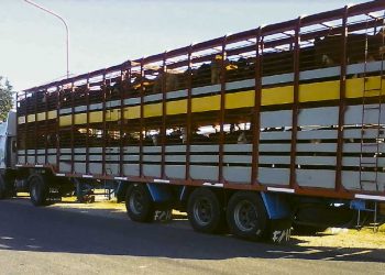 La caída del precio del ganado es coyuntural
