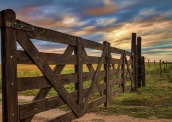 ¿En qué consiste el proyecto de ley que busca limitar la extranjerización de la tierra?