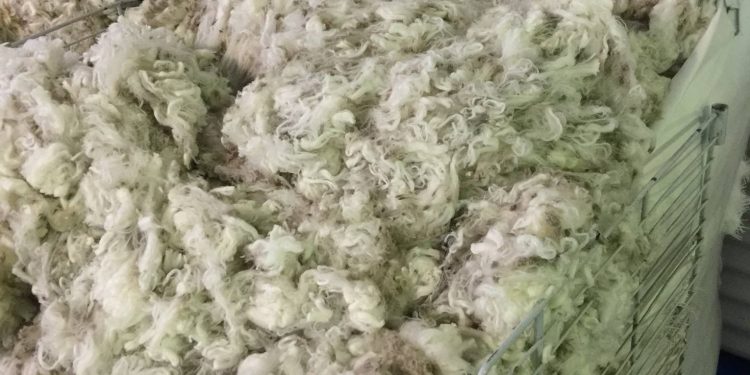 Estable y bajo, así está el precio de la lana