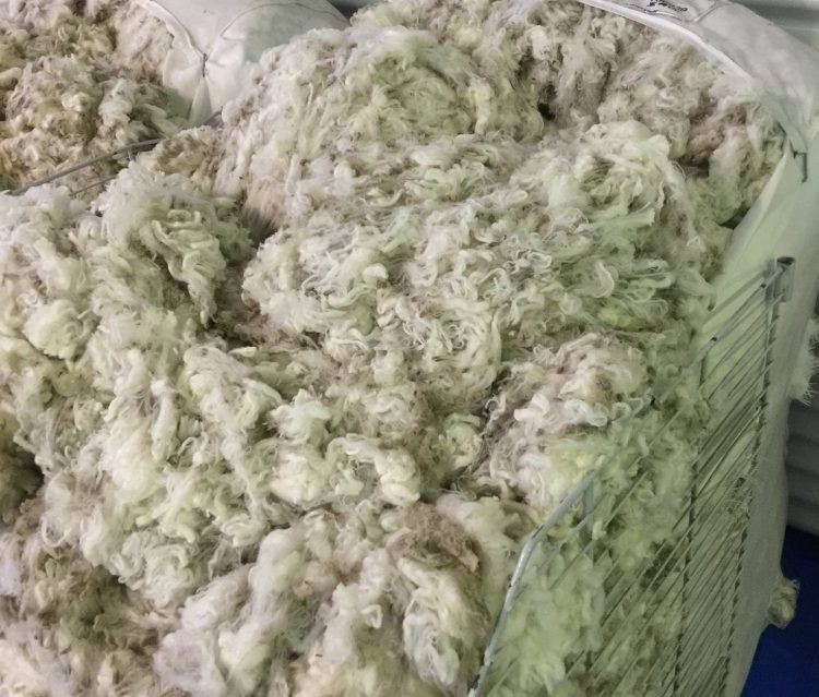 Estable y bajo, así está el precio de la lana