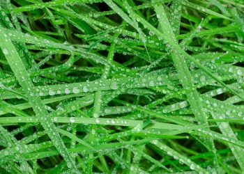 Lluvias en el sur fueron de 28mm máximo, bienvenidas, pero insuficientes