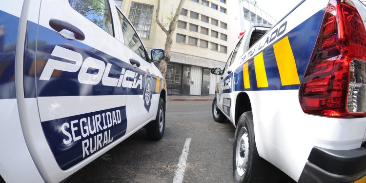 En octubre las denuncias de abigeato cayeron 43,61 %