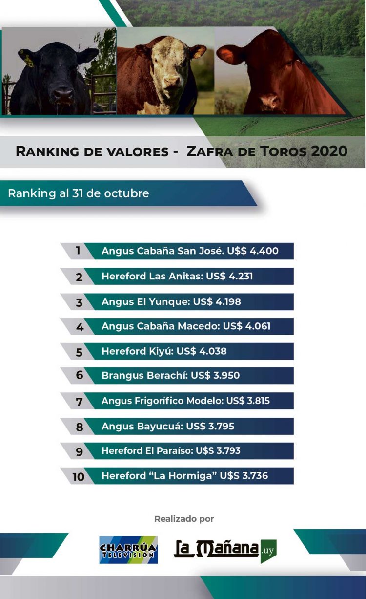 El Top 10 de la zafra de venta de toros