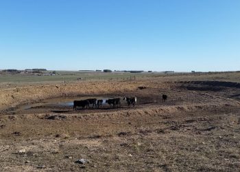 Avanza noviembre y la falta de lluvias agudiza la crisis