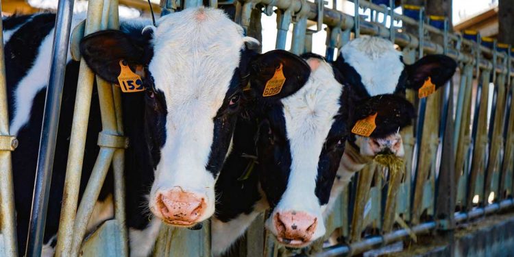 Zavala: “Es necesario marcar la voluntad política de avanzar en las soluciones”