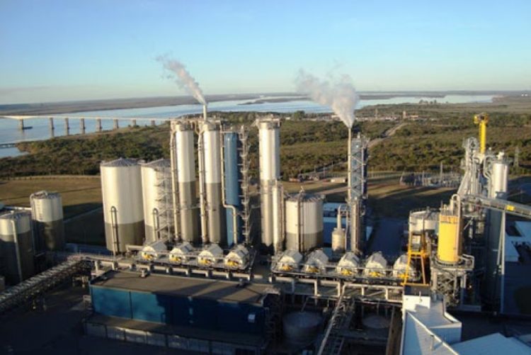 El canal Magdalena y UPM2