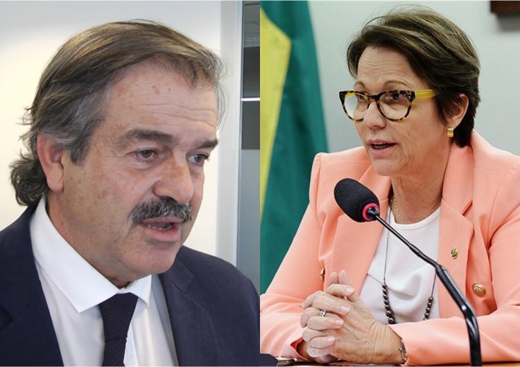 Importantes avances oficiales, para exportar ganado en pie a Brasil