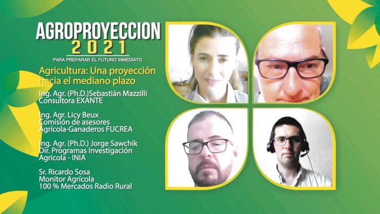 La soja muestra cambios en el sistema de producción