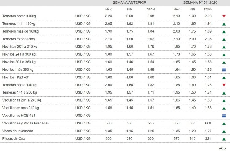 Cae la faena y se afirma el ganado gordo y la reposición