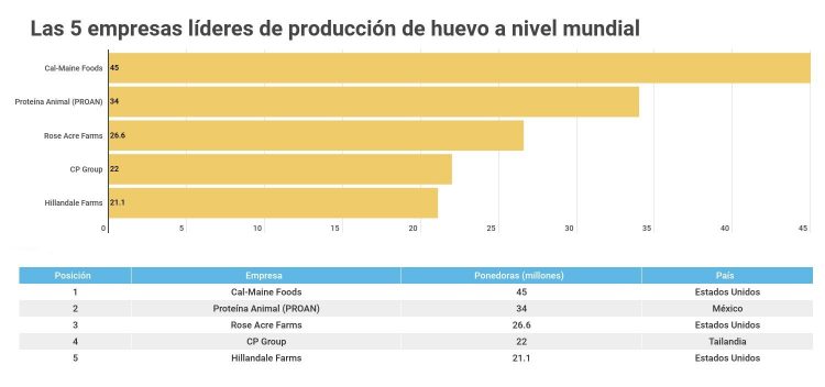 Las principales empresas productoras de pollo y huevos en el mundo y la región