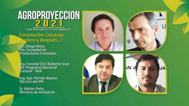 Agroproyección 2021: En 2019 la forestación exportó por US$ 1.900 millones
