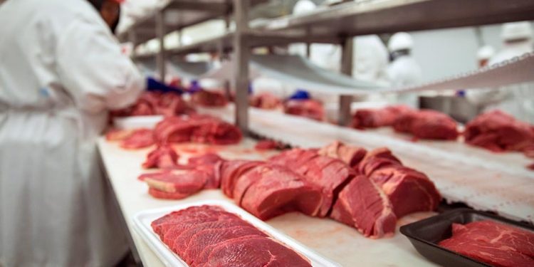 En Estados Unidos, los trabajadores de frigoríficos tienen prioridad para vacunarse