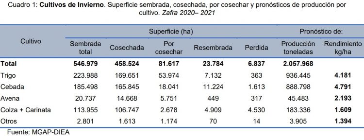 DIEA: récord de rendimiento de trigo y cebada cervecera