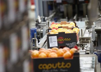 Citrícola Salteña fue la mayor exportadora de frutas y frutos comestibles