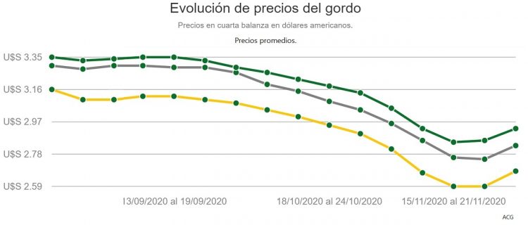El mercado de haciendas cambia la pisada y comienza a subir