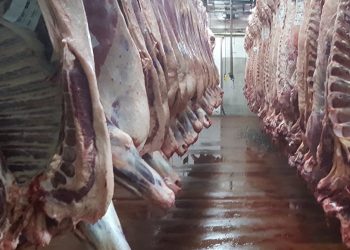 Fue suspendida planta frigorífica al confirmarse un caso de COVID