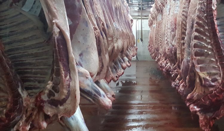 Fue suspendida planta frigorífica al confirmarse un caso de COVID